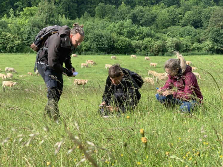 Le jury local du Concours général agricole des pratiques agroécologiques est gâté par la diversité des prairies qu’ils visitent. 