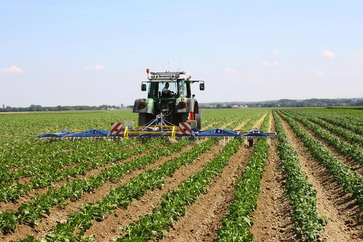 En effet, en année sèche le désherbage mécanique s’avère souvent plus efficient que le désherbage chimique.