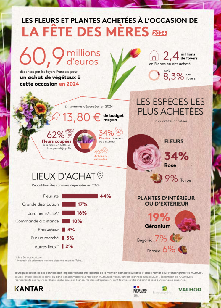 fleurs marché des fleurs Fête des mères Valhor