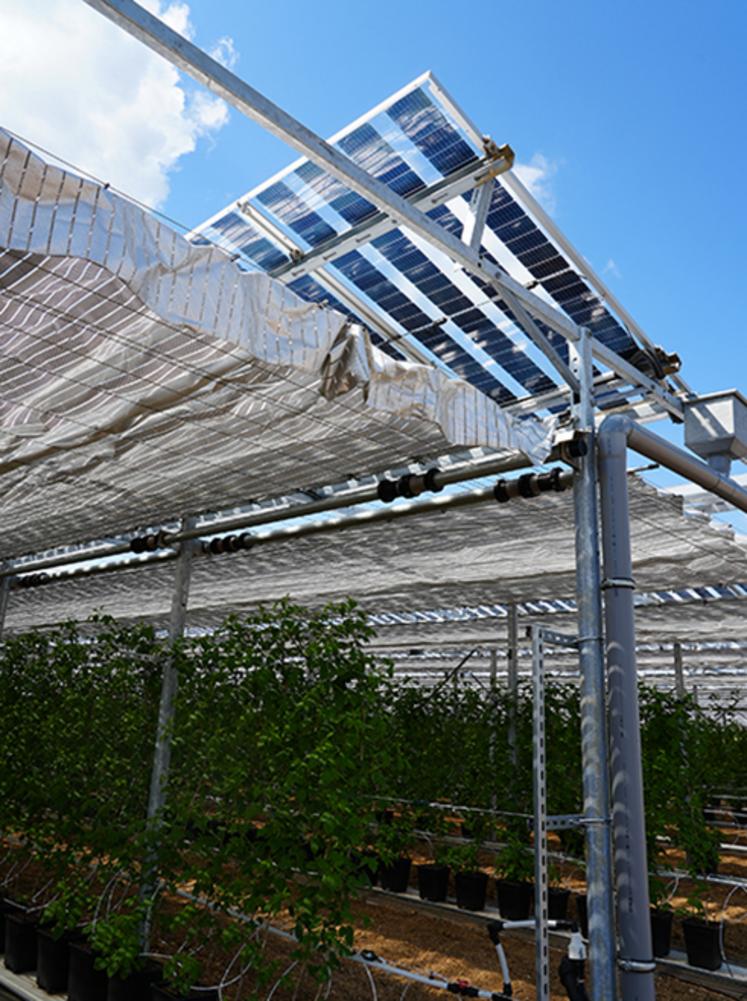 Le Campus Fruits Rouges permettra de tester de nouvelles variétés, de nouvelles protections pour les fruits rouges extrêmement fragiles et dépendants des aléas climatiques.