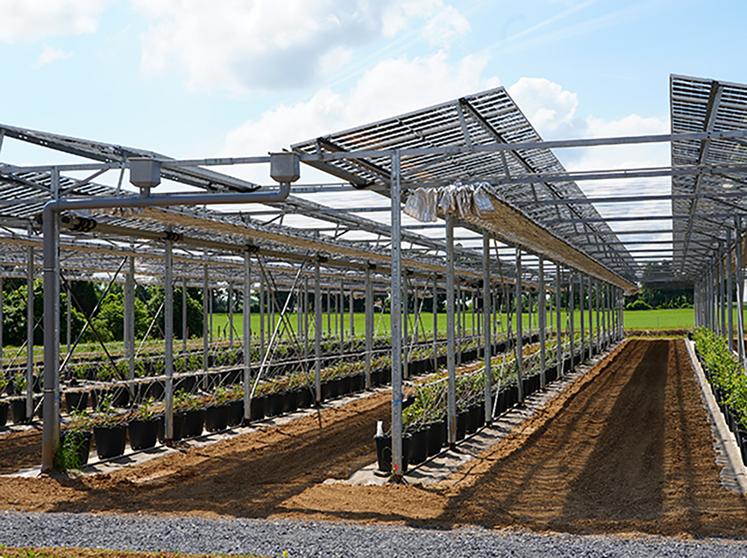 Le Campus Fruits Rouges permettra de tester de nouvelles variétés, de nouvelles protections pour les fruits rouges extrêmement fragiles et dépendants des aléas climatiques.