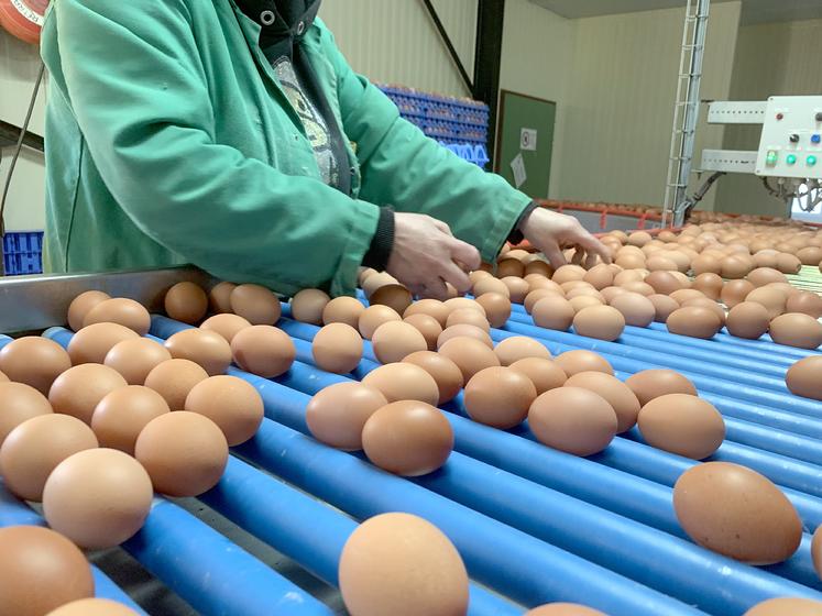 L’interprofession souhaite atteindre au moins 101 % d’approvisionnement français, contre 98,6 % aujourd’hui.