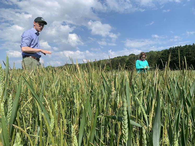 Quentin Denorme et Audrey Remont présentent des leviers agronomiques pour la gestion des vulpins : reculer la date  de semis et limiter la perturbation du sol permettent de réduire l’infestation. 
