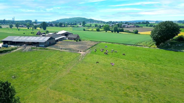 Si les pertes économiques dues aux températures élevées sont estimées à un euro par jour et par vache, les cultures sont également touchées, avec des rendements plus faibles en période de sécheresse. 