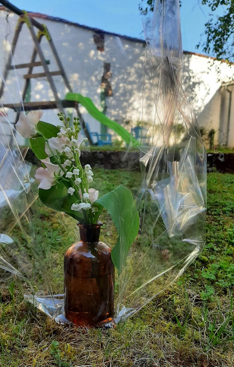 muguet tradition 1er mai histoire