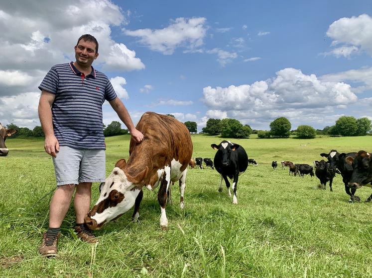 Les vaches de Clément Coussement sont exclusivement nourries à l’herbe et sont traites une seule fois par jour. Une manière  de maîtriser les charges et de préserver la qualité de vie de l’éleveur. 