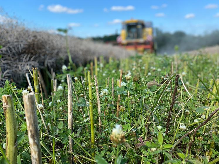 Réduction du travail du sol, couverture et augmentation de la matière organiques sont les clés du stockage de l’eau dans le sol. Mais les techniques de l’ACS comportent aussi leurs problématiques.