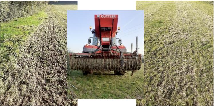 Le conseil régional subventionne la rénovation des prairies à hauteur de 40 % du coût des semences.