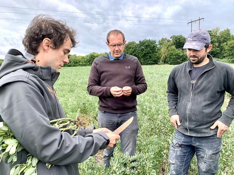 De gauche à droite, Nicolas Latraye (Terres Inivia) suit les essais menés chez Guillaume Bruniaux  et François Lavoisier. 