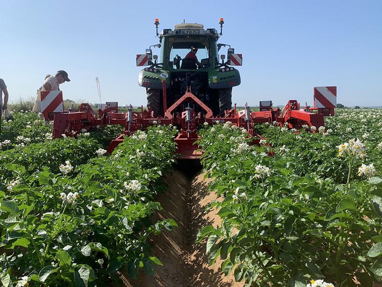 Le désherbage mécanique avec, par exemple, ce buttoir écologique de Grimme, qui combine buttage et binage, est une alternative au rattrapage chimique. 