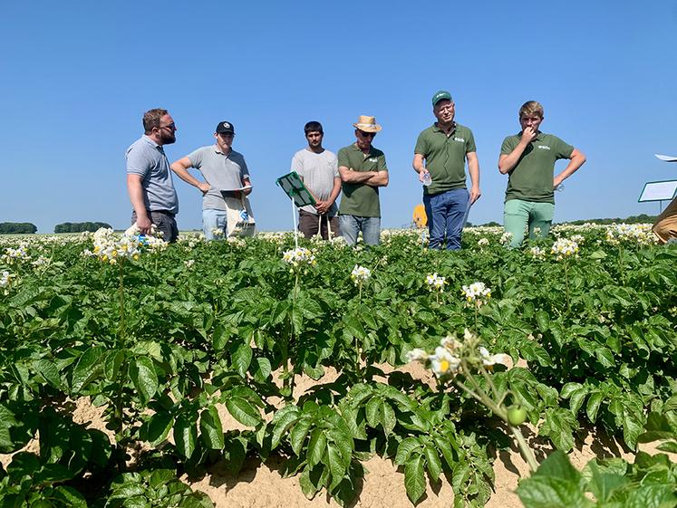 Les essais de Sana Terra ont démontré qu’il faut au moins quatre molécules  pour un désherbage satisfaisant. 