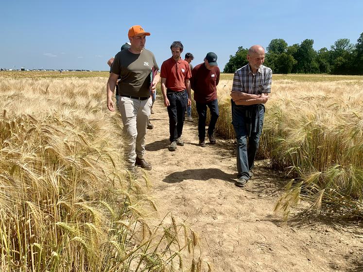 Pour Lucas Hanquier, de Noriap, un bon escourgeon vaut mieux qu’un mauvais blé sur blé.