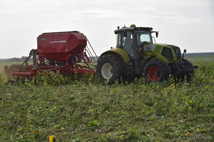 semis direct ACS agriculture de conservation APAD