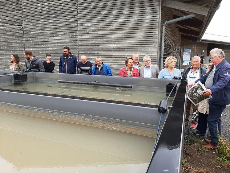 Le centre conchylicole du Crotoy reçoit annuellement environ 1 800 tonnes  de moules de bouchot. 