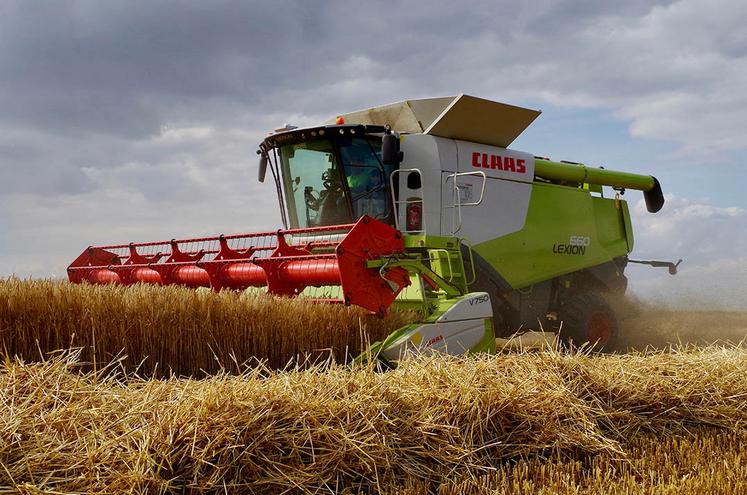 Les moissonneuses sortiront peut-être entre les gouttes, mais la qualité  des céréales devrait pouvoir rester correcte. 