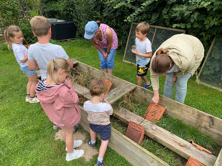 L’atelier permet aux enfants de mieux comprendre le mode de vie des gastéropodes.
