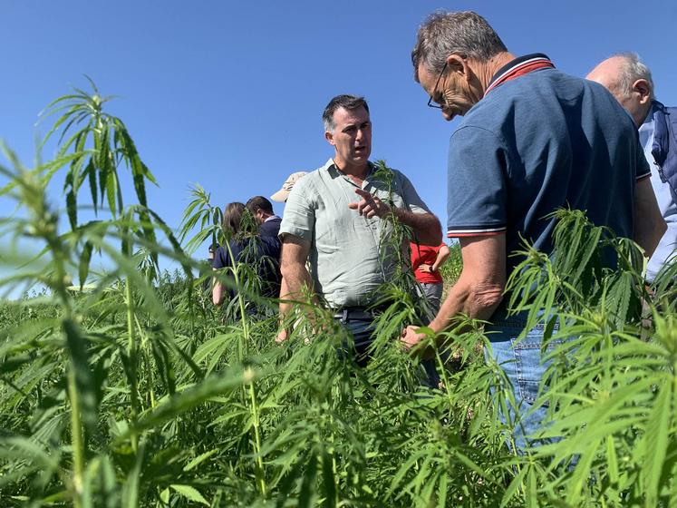 Pour Nicolas Defransure (à g.), directeur de Lin 2000, le chanvre textile a des atouts agronomiques exceptionnels. Il est déterminé à trouver un moyen de valoriser cette production. 