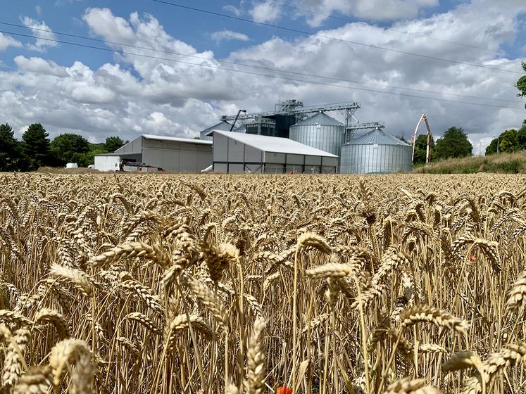 Pour la coopérative Sana Terra, le silo de Flesselles est le plus gros chantier  engagé depuis dix ans. 