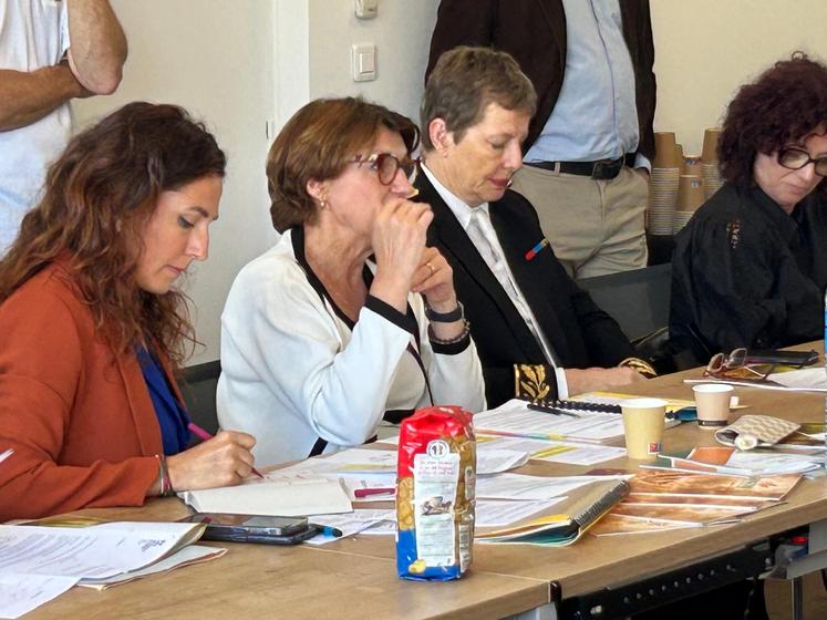 Annie Genevard Loi Duplomb