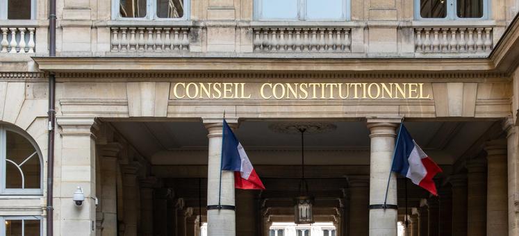 Conseil constitutionnel Entraves PPL Duplomb acétamipride