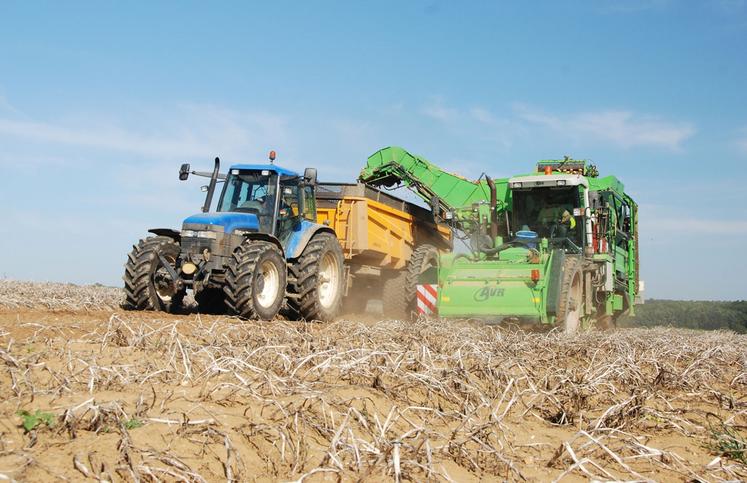 pommes de terre récolte UNPT record