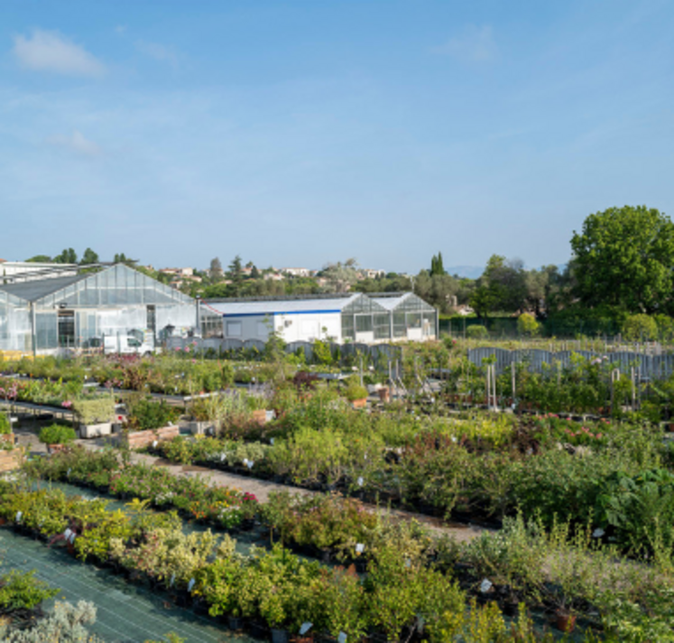 agression au couteau envers une professeur et un élève au lycée horticole d'Antibes