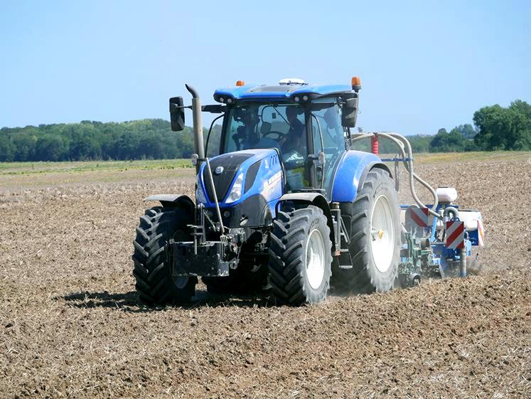 Le choix du semoir et le bon contact terre-graine sont essentiels pour favoriser un colza robuste et résistant aux ravageurs.