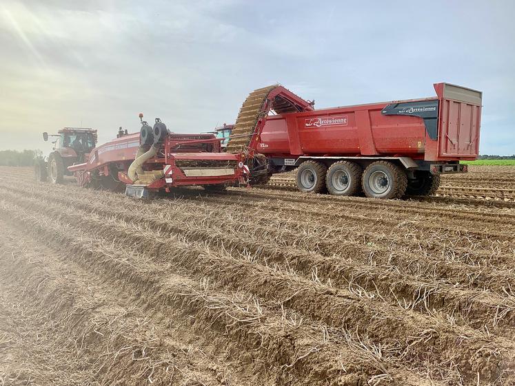 Avec les afflux de marchandise sur le marché et l’agréage des lots, les agriculteurs redoutent les refus de livraison.