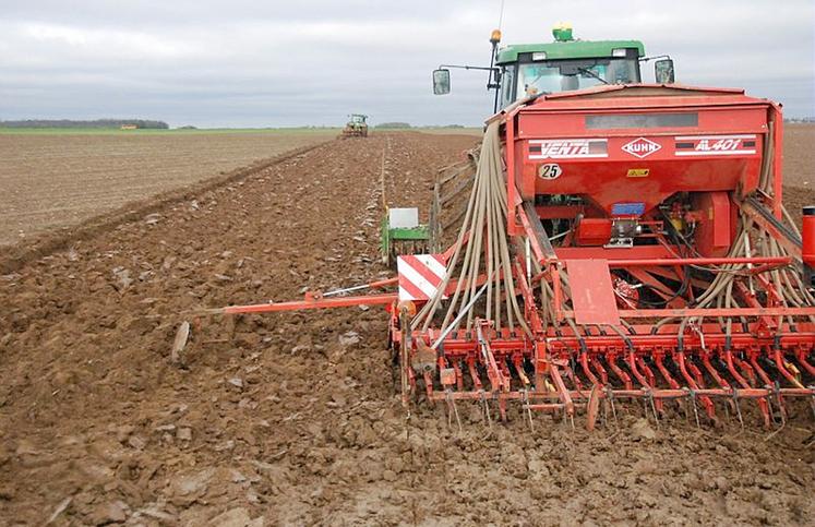 Selon le Groupe Carré, «2025 restera l’année des blés tardifs tandis que 2024  était à l’opposé…» Comment sera 2026 ? Encore un peu de patience. 
