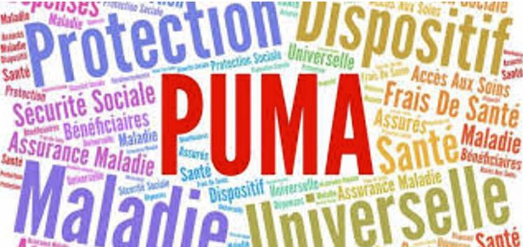 La Puma peut être synonyme de cotisations à l’Urssaf, en fonction des revenus professionnels et des revenus du patrimoine.