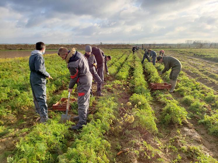 Glanage solidaire par la MFR d’Haussy (59). 