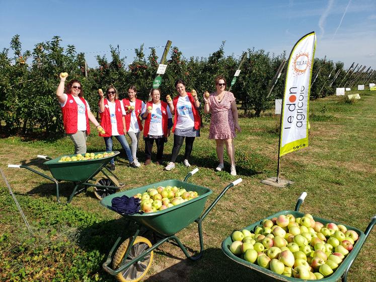 Glanage de pomme à la Cueillette Férin (59) avec l’association «Rêve d’enfant». 