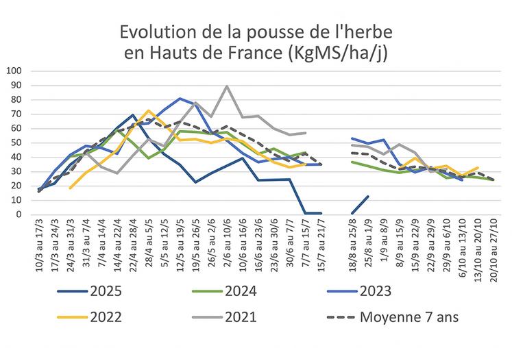 Références de pousse Les Herbophyles, 2025.