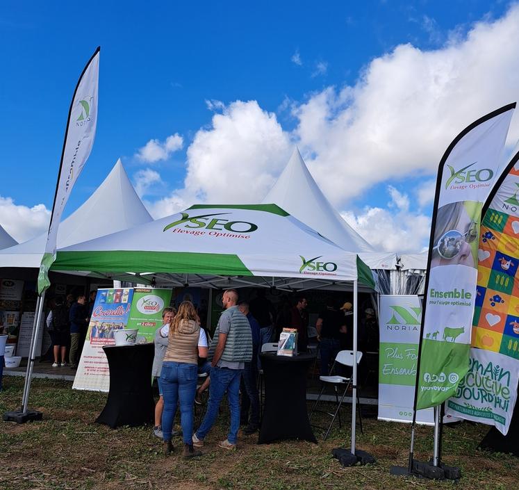 Yséo distribution fournitures aliment pour élevage 