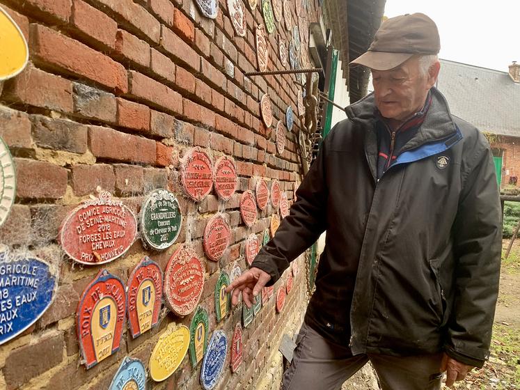 L’élevage d’Hargi, clin d’œil au village d’Hargimont, dans les Ardennes belges d’où la famille  est originaire, compte encore huit chevaux, et trois ou quatre naissances par an. 