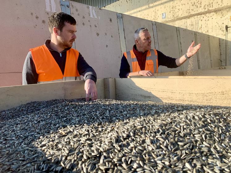 Tournesol strié, millet, sorgho, et avoine noire sont cultivés puis traités chez SFP pour la filière oisellerie. Ici, Gabriel Henry, responsable activité, et Adrien Houssays, technicien.