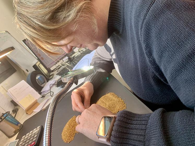 Chaque lot est analysé dans le laboratoire. Pour l’oisellerie, 2 % d’impuretés seulement sont tolérés. 