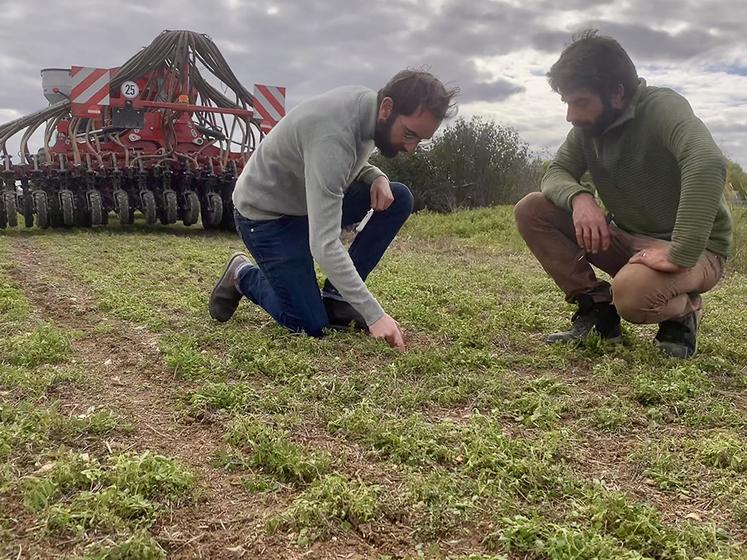 L’agronomie commence par l’observation de l’agriculteur. Lors des semis,  le bon positionnement de la graine est primordial. 