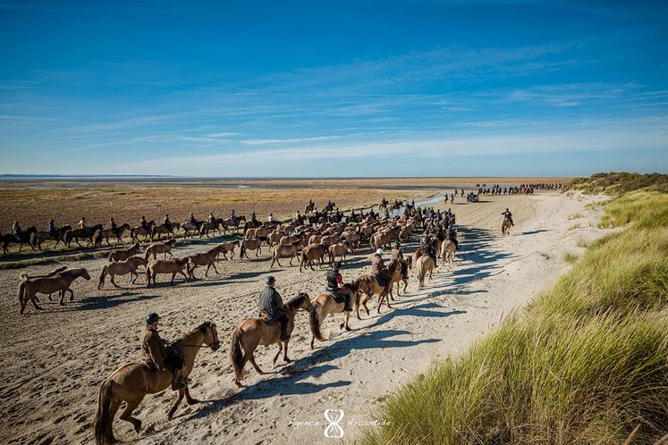 Chaque année, la Trans’Henson est un spectacle incroyable. 