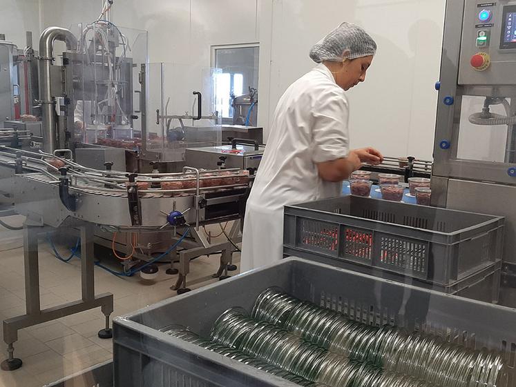 Dans les ateliers de la conserverie, un tunnel d’observation permet de suivre chaque étape de fabrication. 