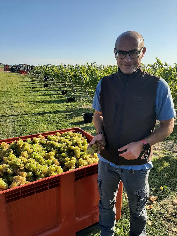 Julien Poulin est le directeur commercial et développement de la marque Les 130 fondée par l’entreprise de négoce Ternoveo. 