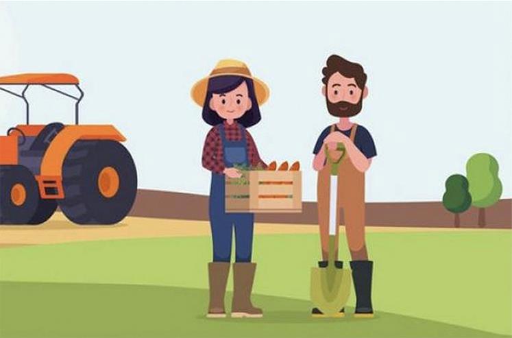 Les exploitants ont jusqu’au  31 décembre 2026 pour adopter  la meilleure formule au changement  de statut de leur conjoint.