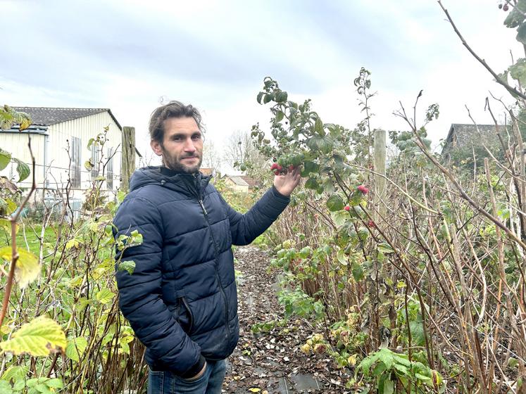 Depuis quatre ans, Xavier Sek produit des fruits rouges 100 % bio, dans une démarche “respectueuse de l’environnement”. 