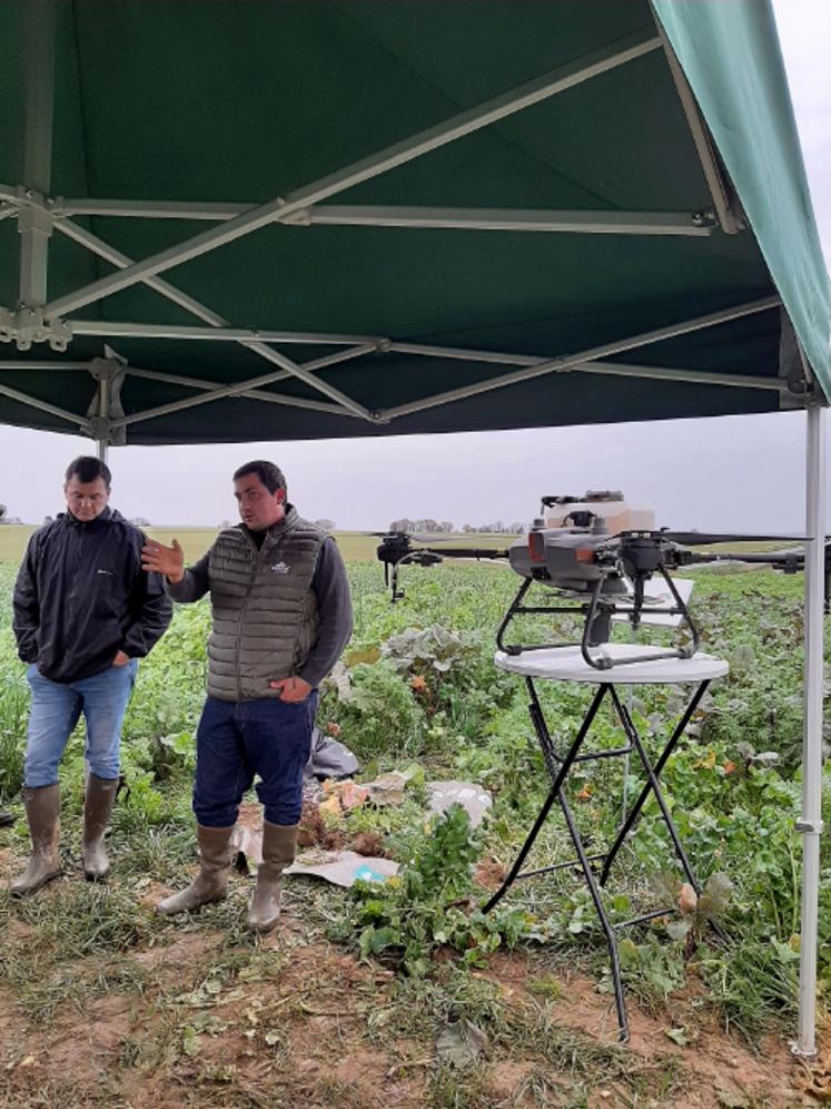 Le semis par drone permettrait de gagner de précieux jours  dans le développement du couvert. 