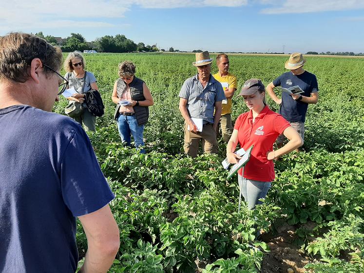Dans la Somme, une réunion technique sur le thème «Des pommes de terre  robustes pour faire face au changement climatique» est prévue  le jeudi 27 novembre (9h), à La Vicogne. 