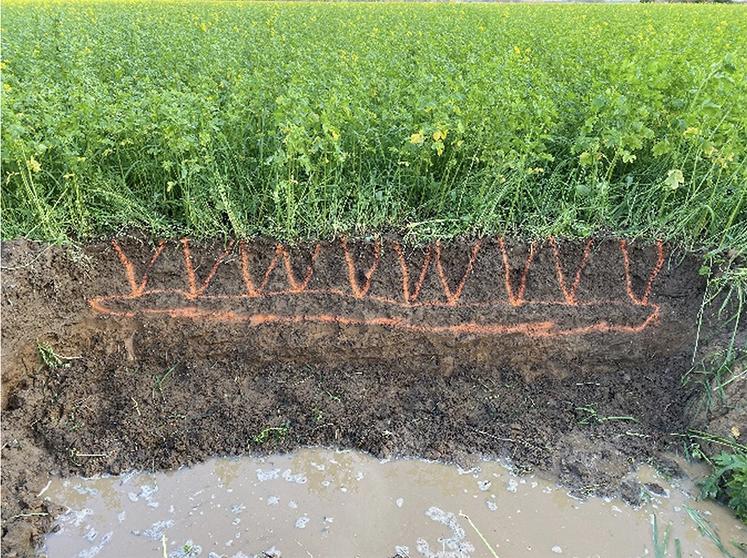 Couvert dans la modalité fissurée après semis.