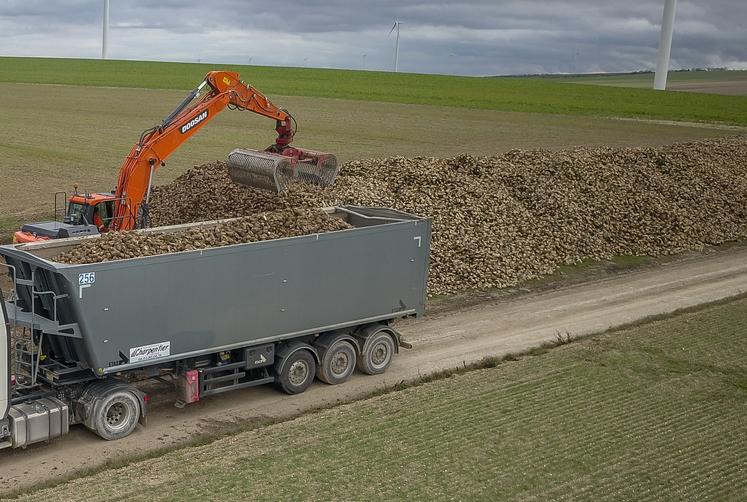 Tereos prix de betteraves campagne 2025-2026