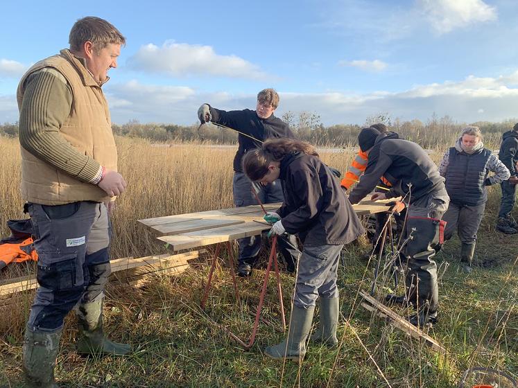 Les élèves s’affairent sous l’œil de Camille Hecquet, du Conservatoire d’espaces naturels. 