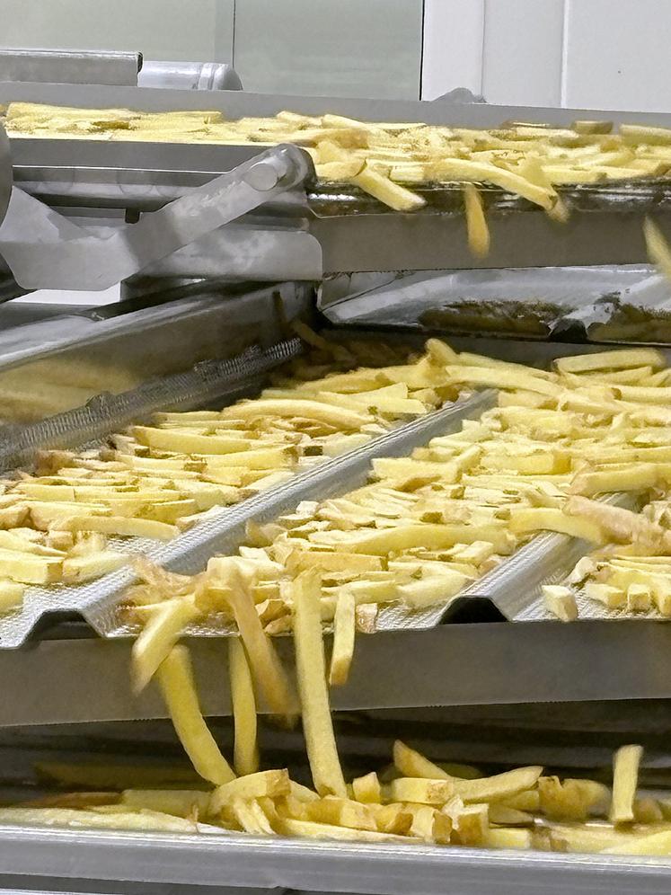Une dizaine de producteurs adhérents vont approvisionner l'usine qui produira entre 6 000 à 8 000 tonnes de frites tous les ans. 