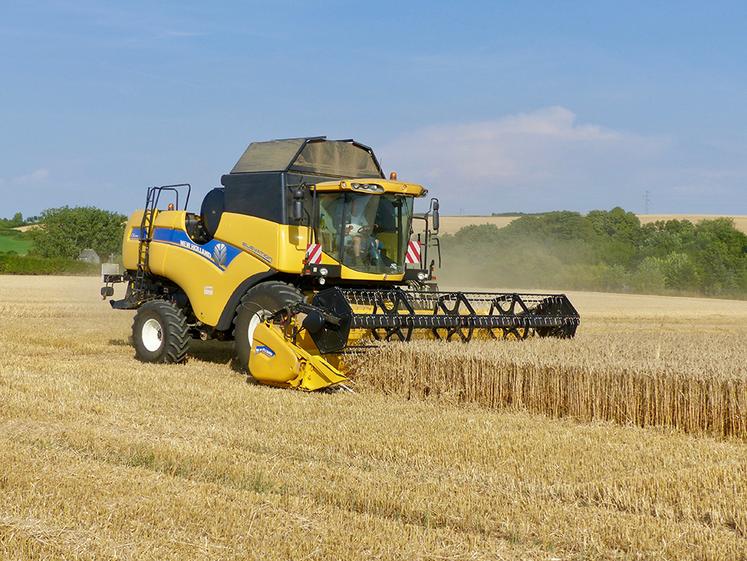 Cette année, FranceAgriMer s’attend à une nette reprise des exportations  de grains vers les pays permise par le retour d’une production céréalière au niveau des campagnes antérieures à 2024-2025.